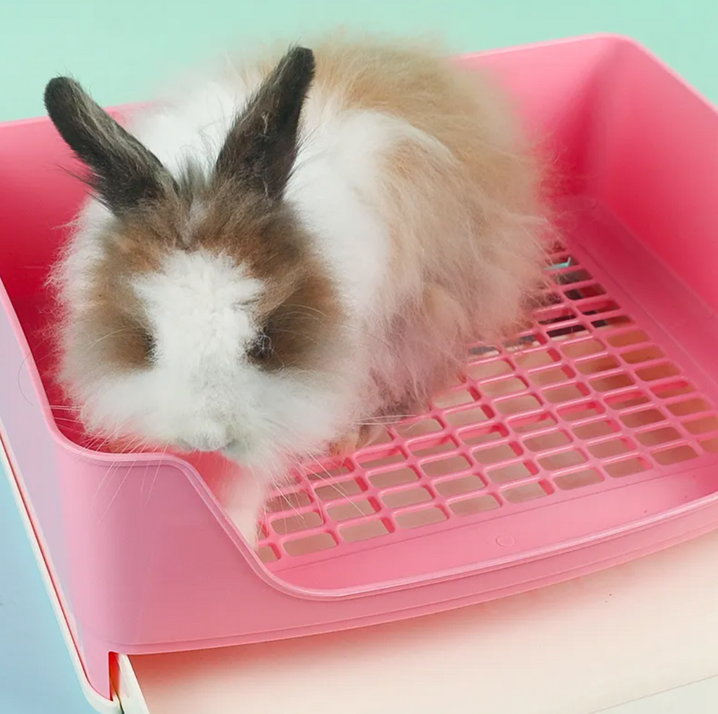Rabbit Anti-Spray Toilet
